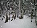 winter 1011 007